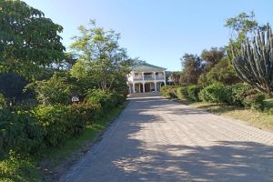 WhatsApp Image 2025-05-21 at 09.52.38 (1)